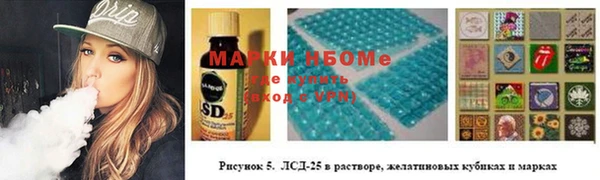 гашик Протвино