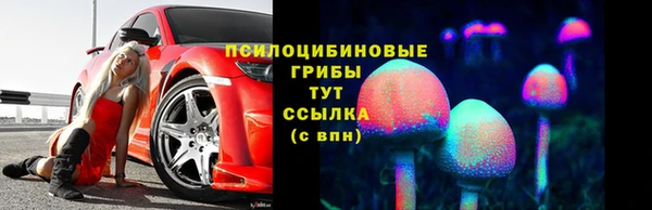дурь Алексеевка